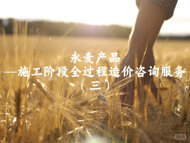 施工阶段全过程造价咨询服务(三)