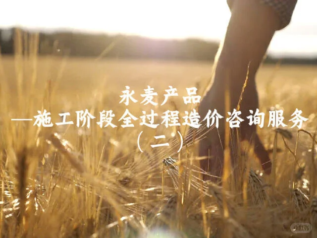 施工阶段全过程造价咨询服务(二)