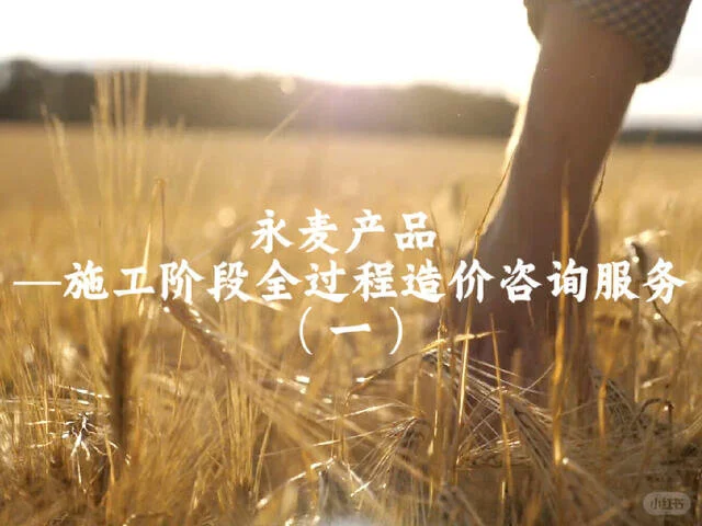 施工阶段全过程造价咨询服务