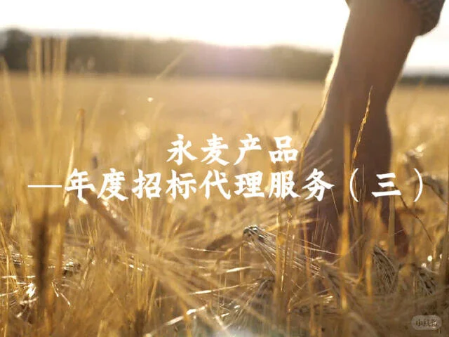 年度招标代理服务(三)