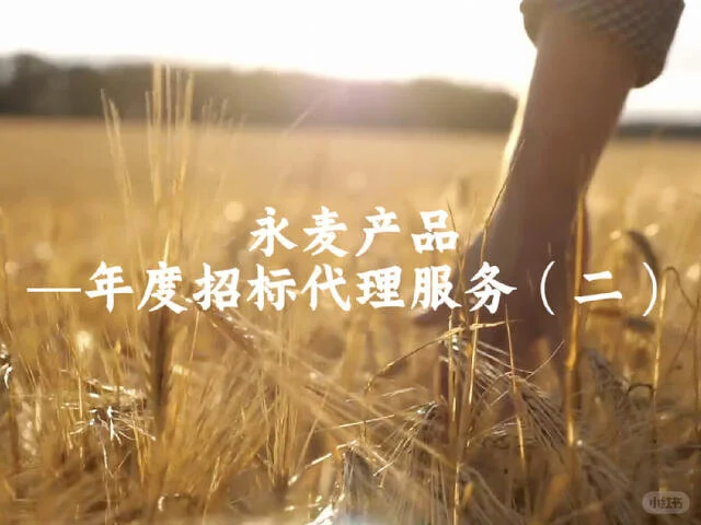 年度招标代理服务(二)