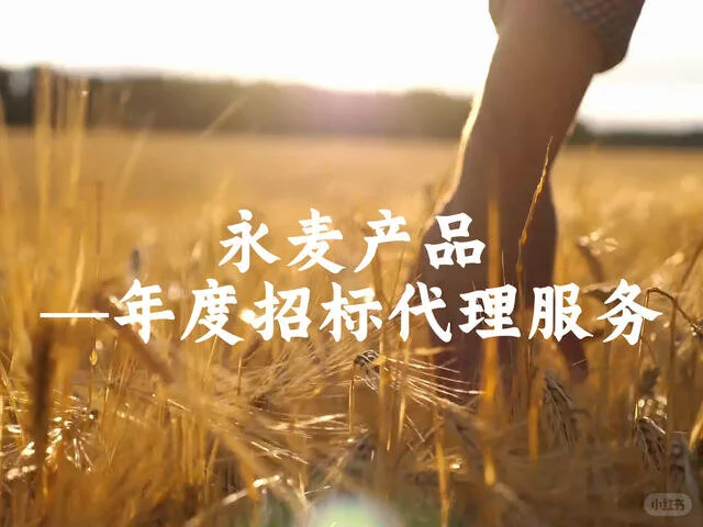 年度招标代理服务