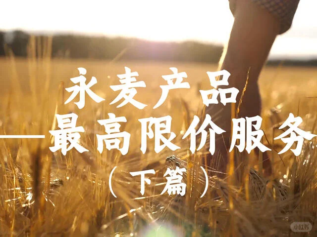 最高限价服务(下篇)