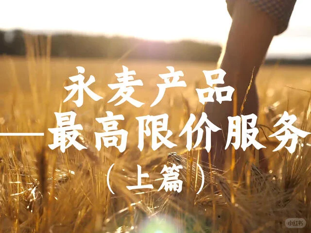最高限价服务(上篇)